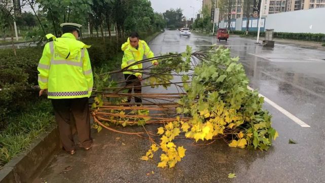 高桥村人口_湖南常德桃源高桥村