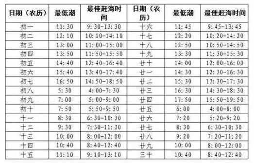 挖蛤拾贝,秦皇岛赶海这份指南可收好了!