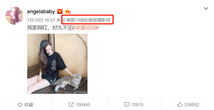 文章马伊琍离婚 曝光娱乐圈手机真相：iPhone被打入冷宫！