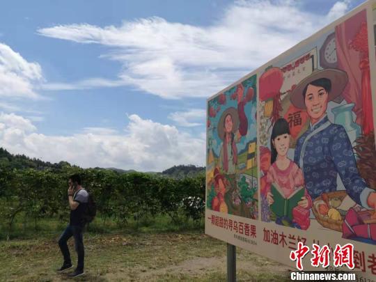农民“百香姐”直播卖货：吸引不少粉丝 月销售7万