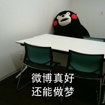熊本表情包:现在的大学生,真是吃饱了没事干