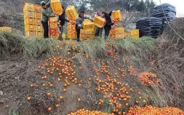 水果滞销,帮帮我们果农吧?网友们纷纷同情购买:背后就是个巨坑