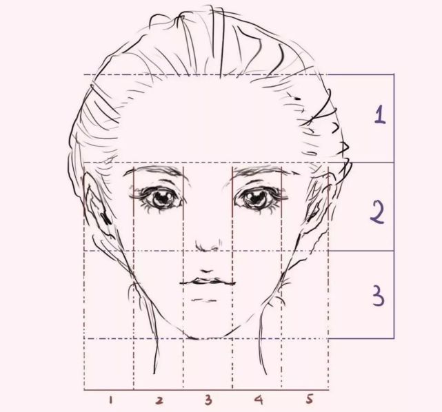 符合这个比例,五官就会处在比较协调的位置,看起来也就舒服好看了.