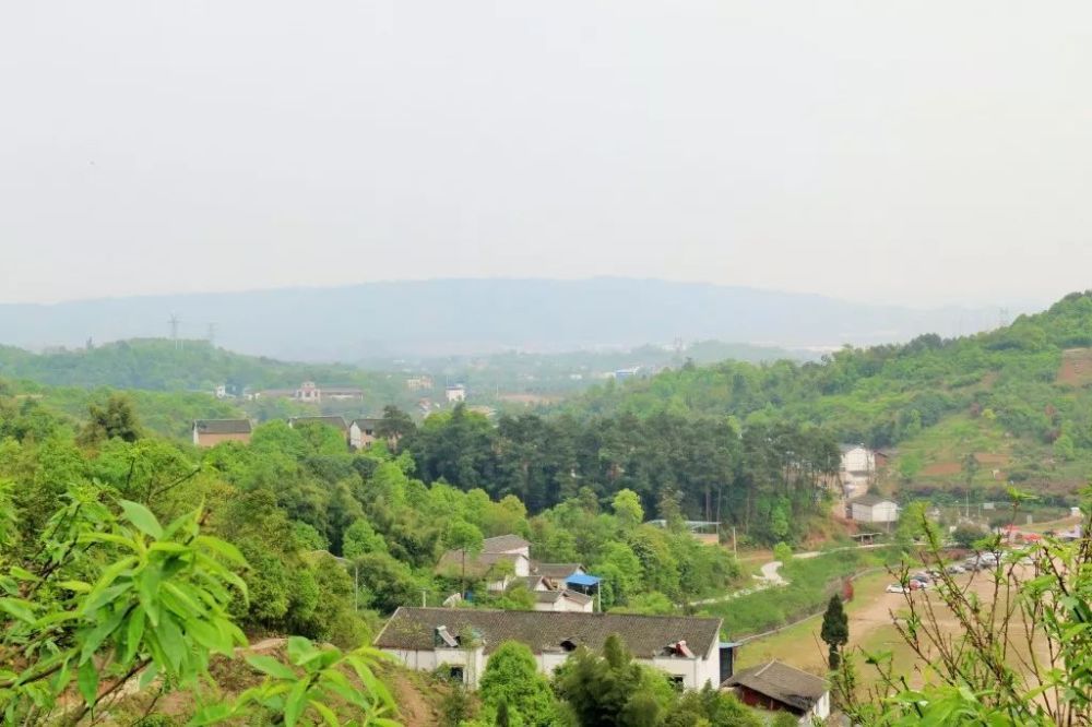 乡村名单进行公示 沙坪坝区曾家镇虎峰山村 榜上有名!