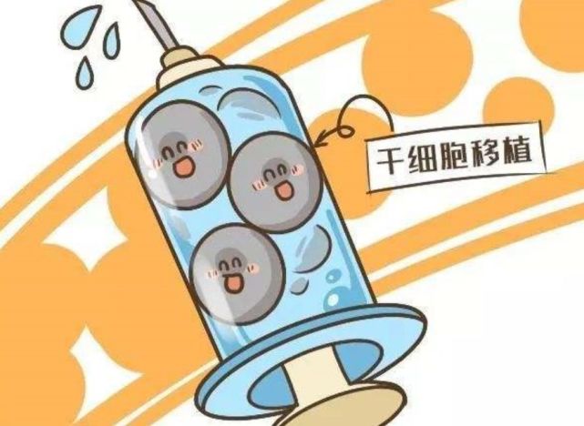 成功的用自体来源的造血干细胞移植治疗白血病.