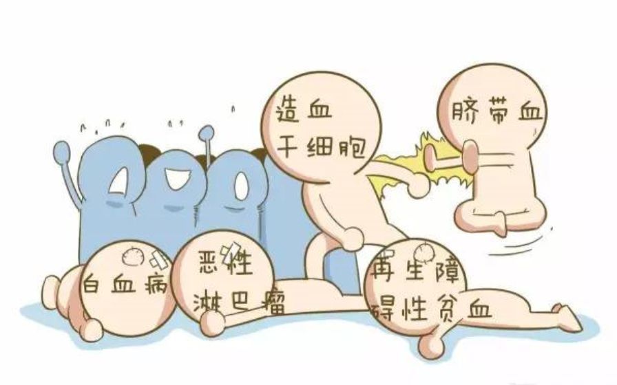 干细胞突破不断!盘点干细胞里程碑式大事件!
