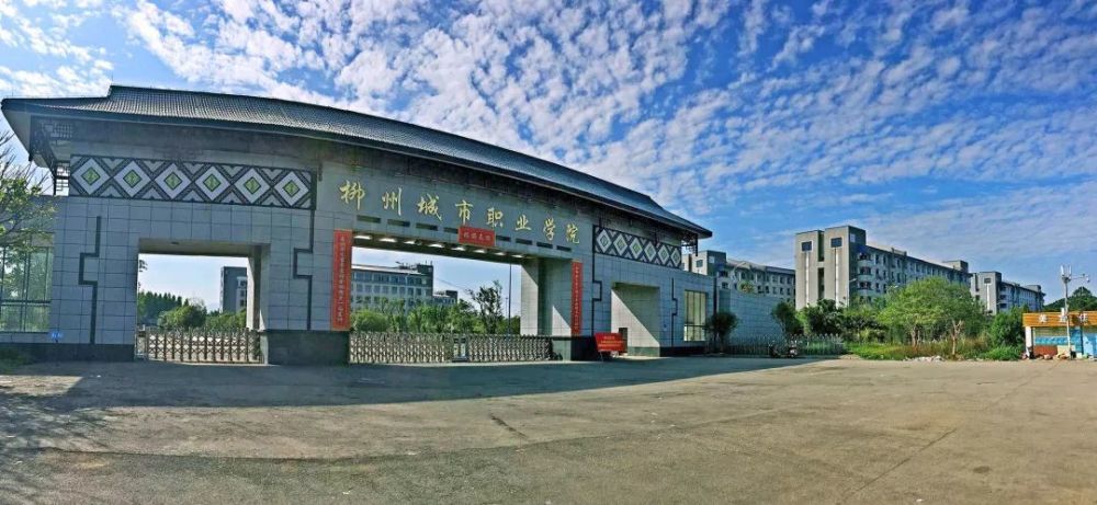 包括广西科技大学汽车学院, 柳州市城市职业学院,柳州铁道职业技术