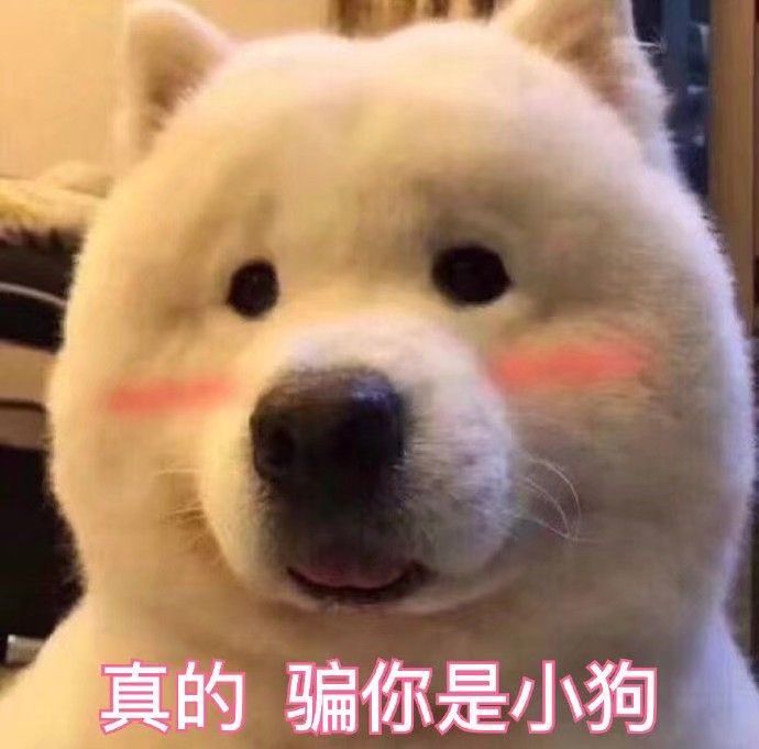 男朋友生气了!滑稽,委屈表情包帮你哄