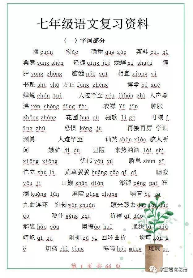 初一语文专项资料拼音词语文言文诗词句子一文囊括