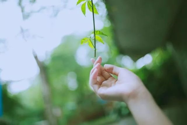 求人永远没有求己管用, 安逸不会让一个人幸福,反而更加艰难!