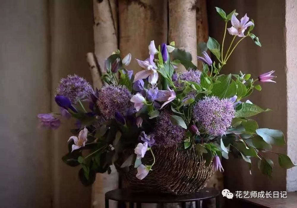 大花葱 : 花艺界中最贵的"葱",圆嘟嘟,敲可爱