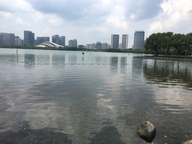 实拍在合肥天鹅湖,风景不错,湖水很清