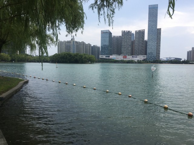 实拍在合肥天鹅湖,风景不错,湖水很清