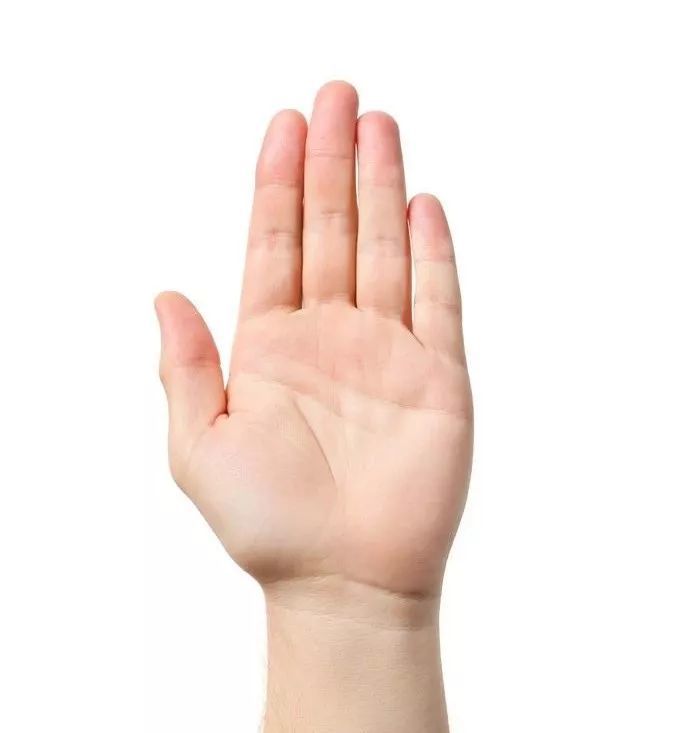一掌 / 要 领:单手的手指以外的手掌心的面积和厚度称为一掌.