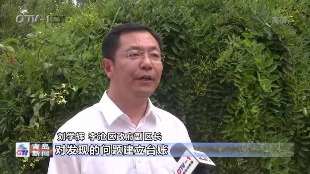 刘学辉 李沧区政府副区长:我们开展专项整治,对各个小区进行逐一排查