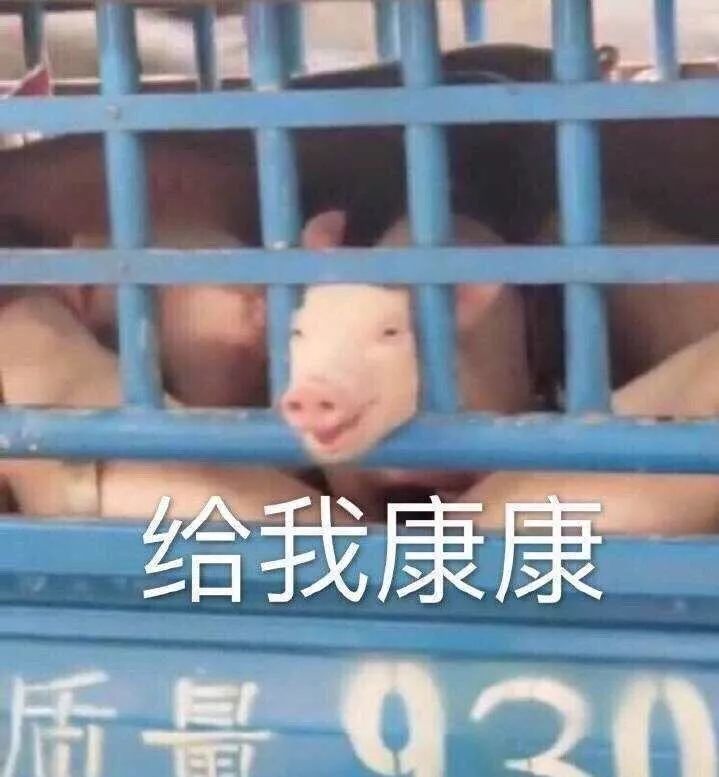 给我康康