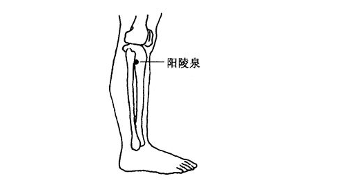 7阳陵泉功能一是通筋活络;二是疏经利节;三是清热利胆.