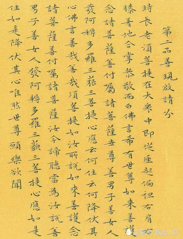 她人靓字美,凭借一手精湛的小楷斩获兰亭奖,林玉梅