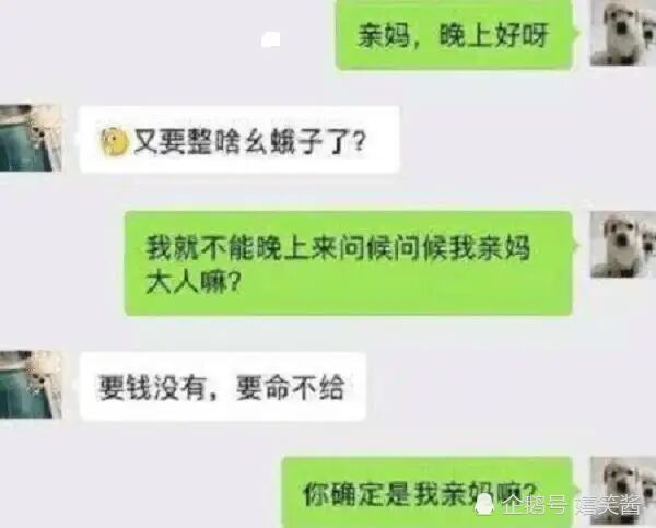 搞笑给骗子回短信已存一万结果收回复我哭笑不得