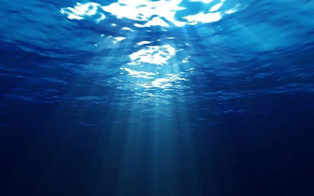 运气测试:觉得哪一片深海最恐怖?测试你的安全感指数!