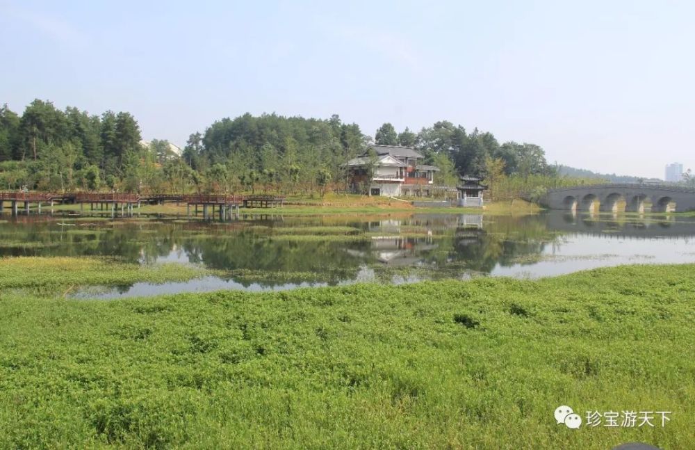 遵义——新蒲湿地公园