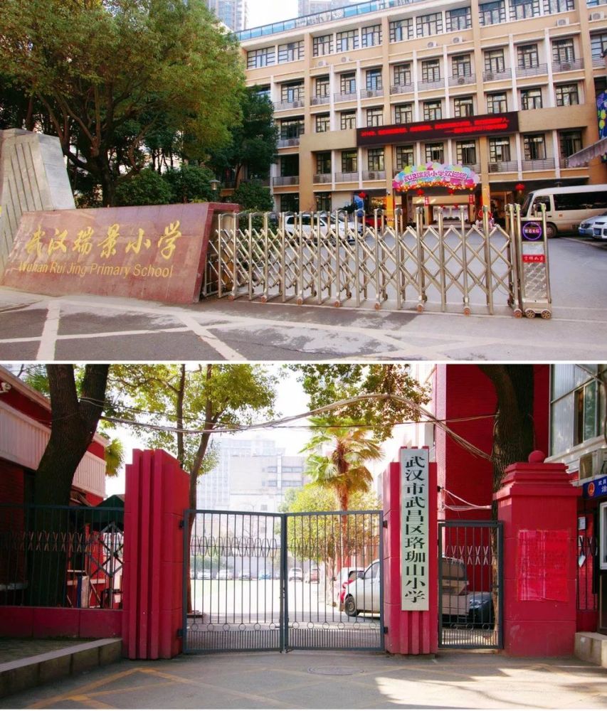 实景图 今年9月,又有一所名校开学—— 武汉小学珞珈山分校,一共36个