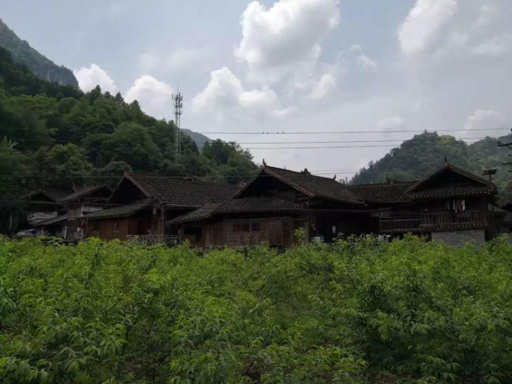 上游为保靖县夯沙河,经 吉首市矮寨镇洽比村 后在狮子庵汇入峒河