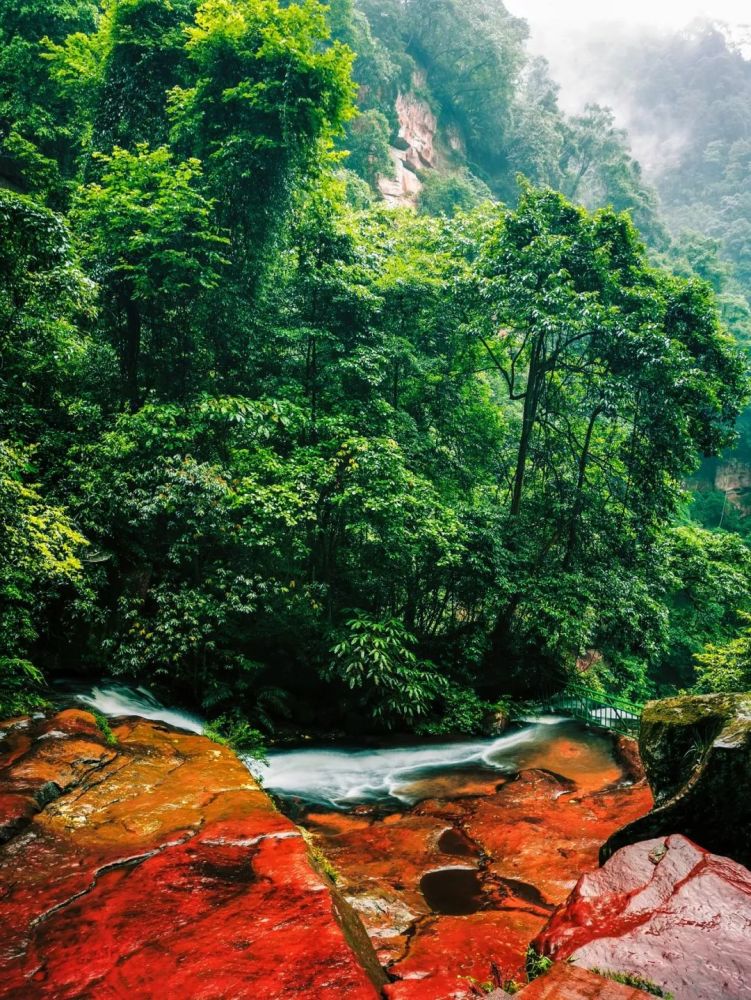 收藏!赤水丹霞旅游区全攻略新鲜出炉,赶紧约起