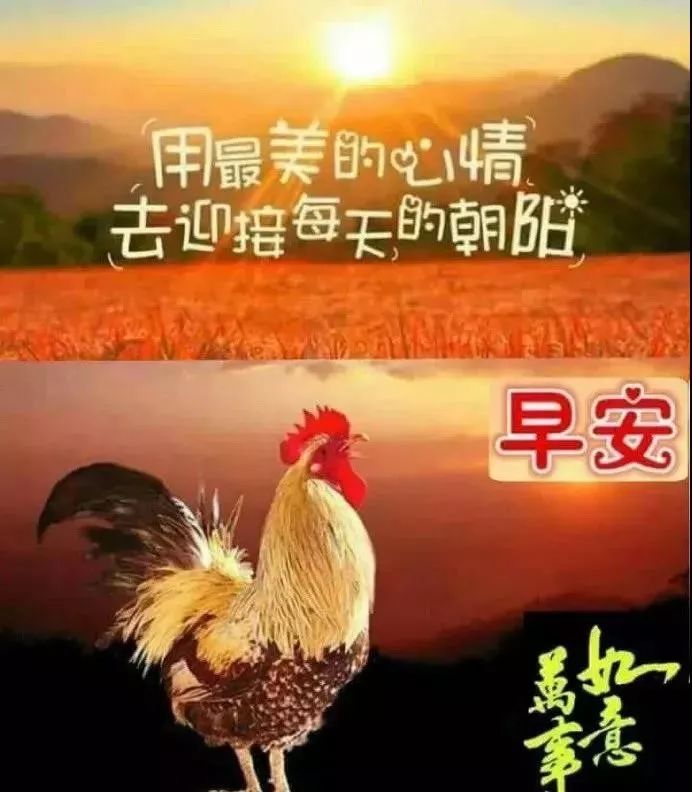 7月25日清晨最新早上好问候图片短信 幸福暖心的早上好动态美图送给