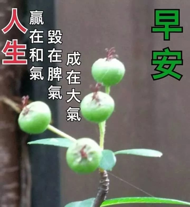 4月最后一天清晨早上好问候祝福动态表情图片 早安问候动态图片表情