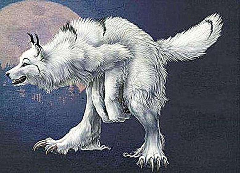 狼狈为奸中的"狈",究竟是什么样的动物?现实中真的存在吗?