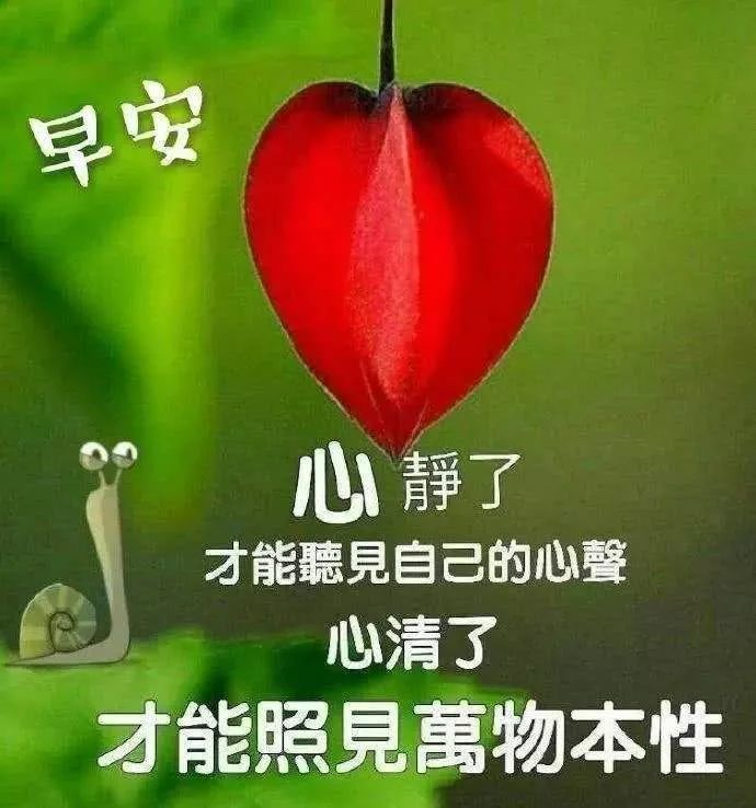 8月4日最新版早上好幸福图片带祝福语,早安祝福语表情