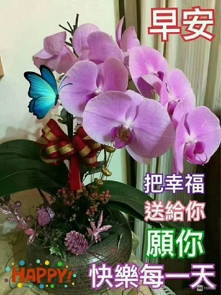 周二早上好问候祝福图片推荐 早上好简短的祝福语美图