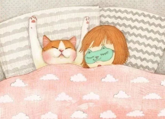 猫咪喜欢和你睡,首先恭喜你, 这表示猫咪非常爱你.