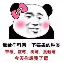 熊猫头土味儿情话表情包