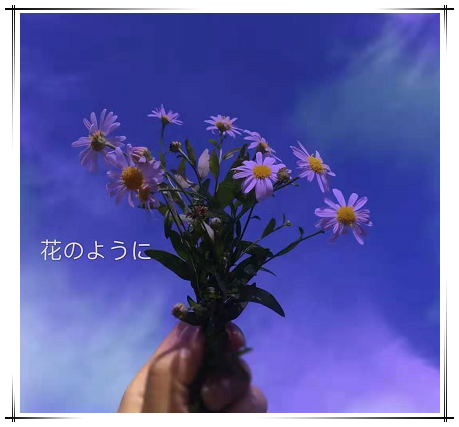 "仙气·神仙天空"背景图,首先看到的这张是一个女生手中拿着一束花,拍