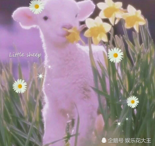 ins·敲可爱背景图:今天淋雨了 真担心 我怕我会可爱