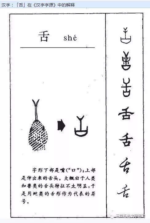 《论语字解探秘》之【言】——我打赌你不认识的字