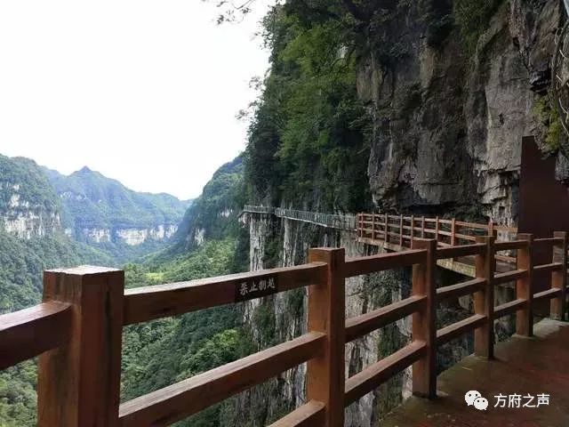 风光旖旎!大方油杉河景区仙宇屯玻璃栈道今起正式运营