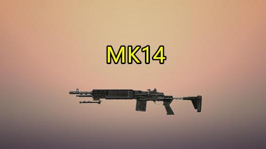 第一名:mk14射手步枪