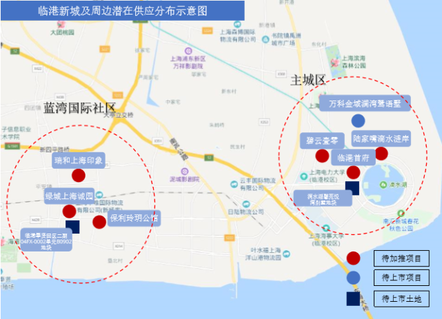 上海自贸区临港新片区放开购政策