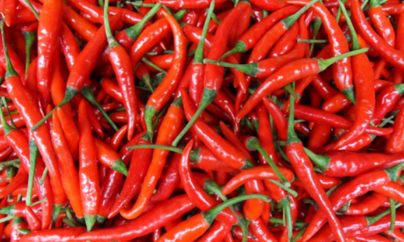 开胃又下饭的红辣椒, 你知道它该怎么种植吗?