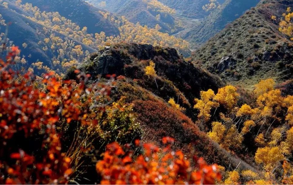 去包头这几个地方旅行,与未知的景色来一次美丽邂逅