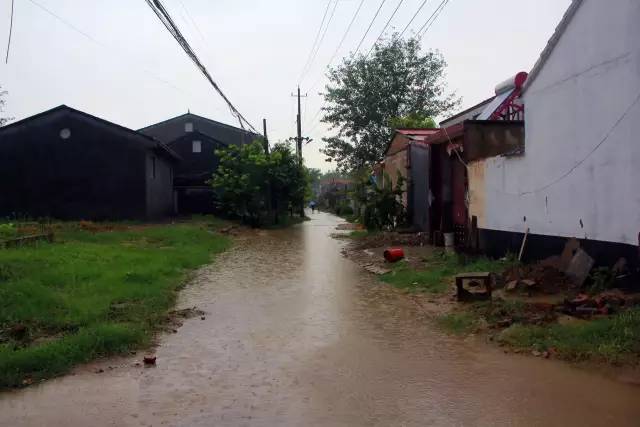 在丰县宋楼,实拍暴雨过后的状元集,着实让人吃惊了一把!