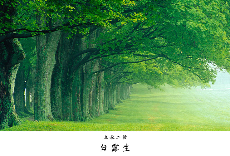 立秋之后,茫茫白露生,晨起有略微寒意.
