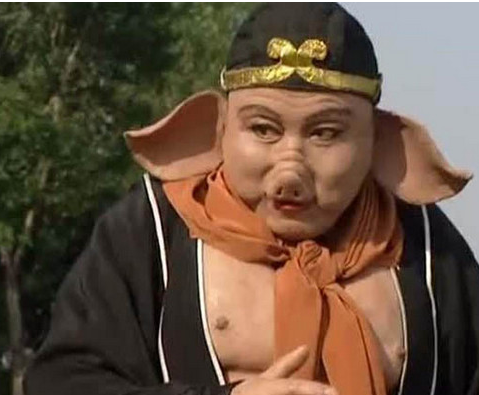 盘点演过猪八戒的男明星每一位都很经典最后一位被封杀