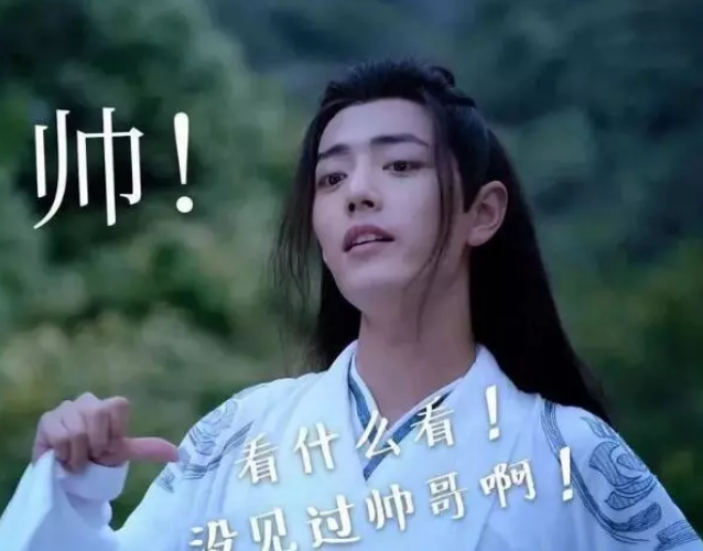 陈情令搞笑表情包,羡羡又萌又帅,忘叽兄又吃薛洋醋!