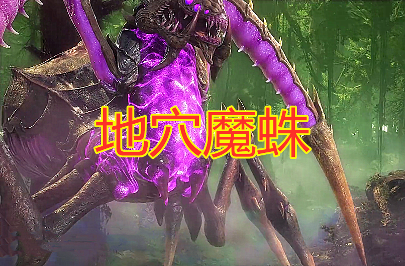斗罗大陆弗兰德抓捕地穴魔蛛被唐三抢风头78级魂力白练了