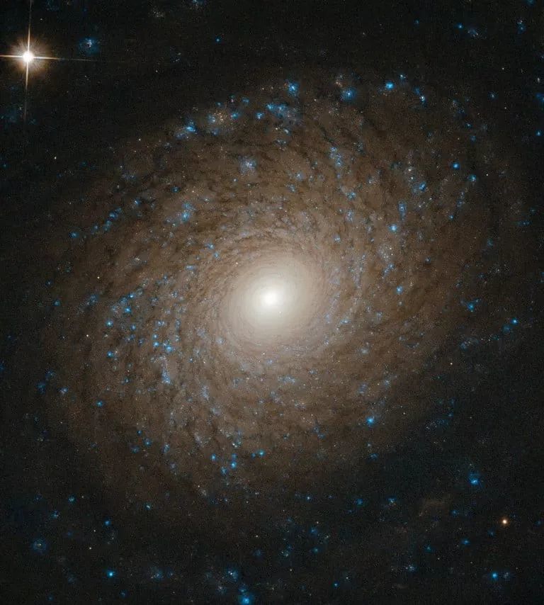哈勃在大熊星座发现了一个完美对称的螺旋星系