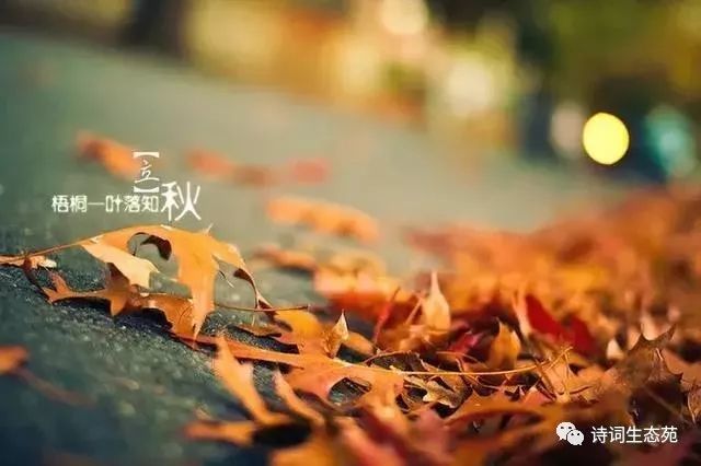 一夜新凉是立秋 欣赏十首有关立秋的古诗词